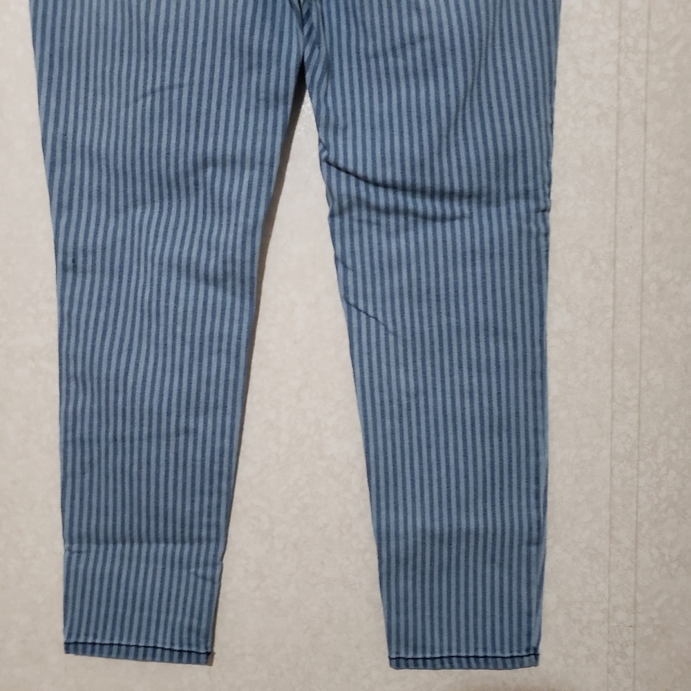 VINTAGE X AMERICA....Striped High rise  Blue Jeans...size:8/29 - Picture 5 of 11